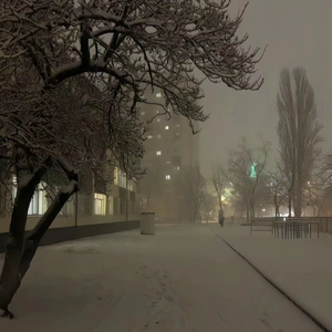 日本大巴车群交视频
